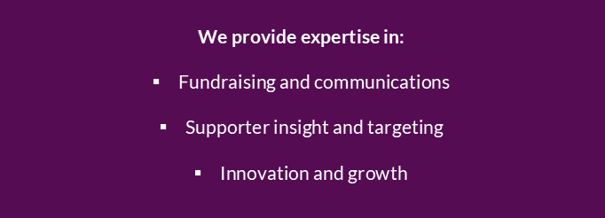 Craft & Scale Amplify expertise